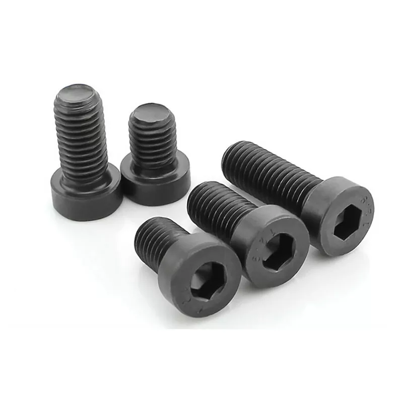 Hex Socket Head Cap Screw With Low Head DIN7984